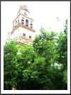 PICT0145