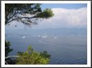PICT0201