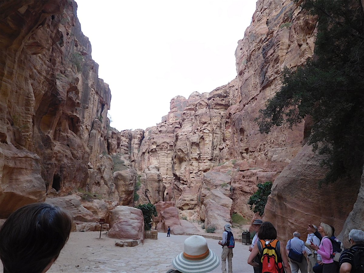 20190503_0825DSCN5054