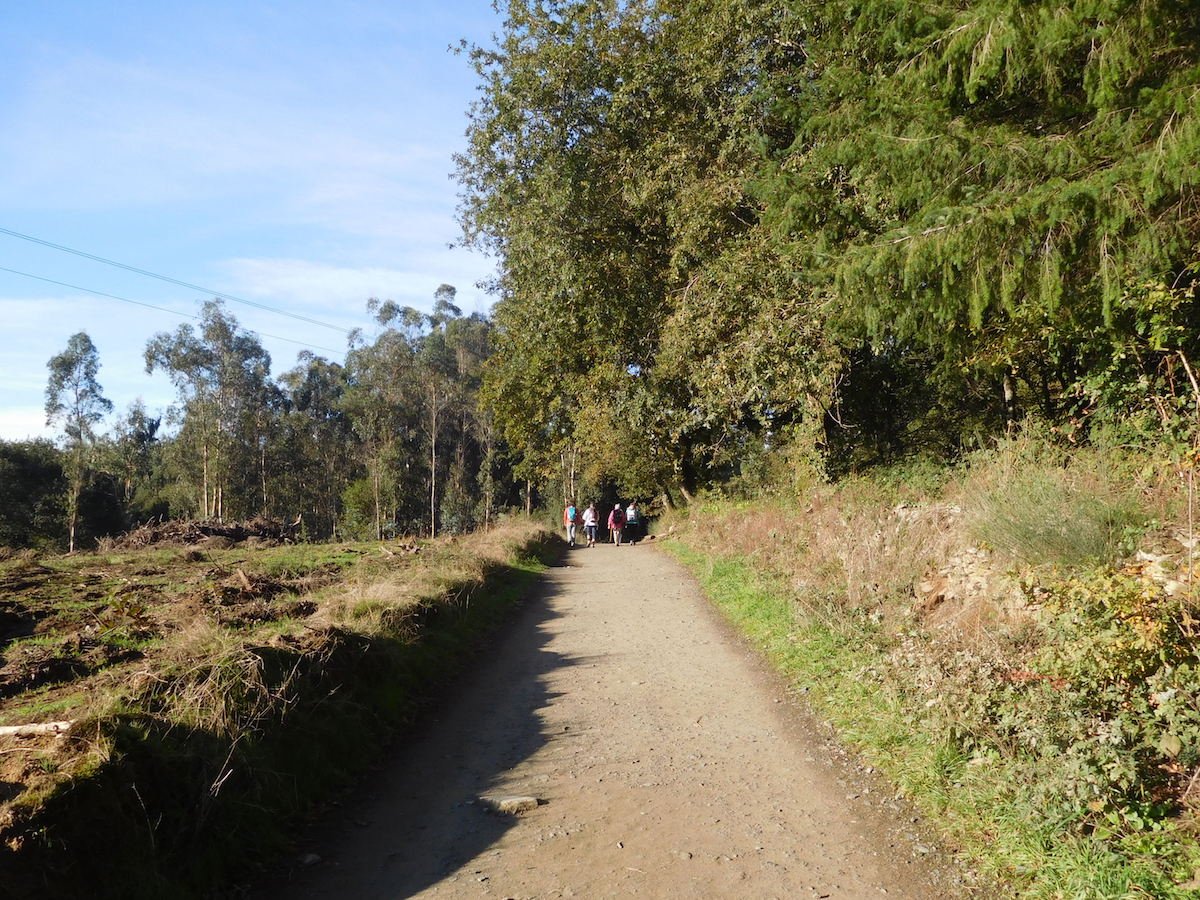 20191026_1057DSCN5724