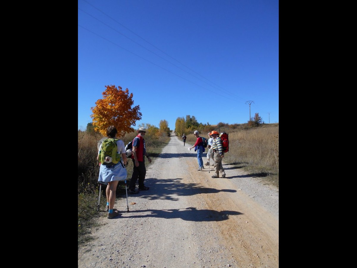 20181022_1505DSCN4570
