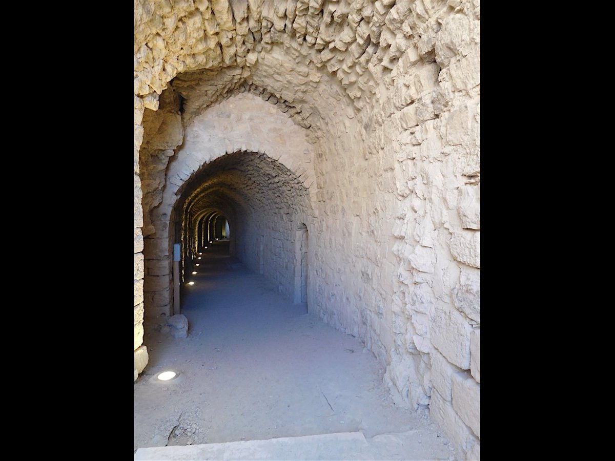 20190504_1346DSCN5148