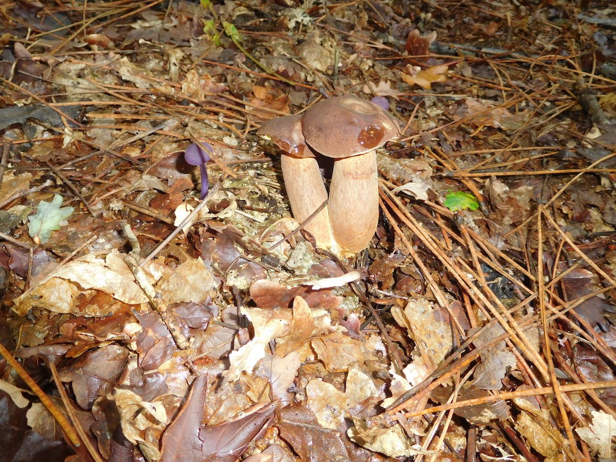 20191025_1041DSCN5710