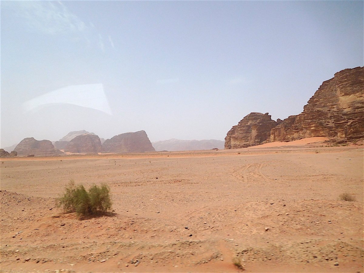 20190502_1132DSCN5012