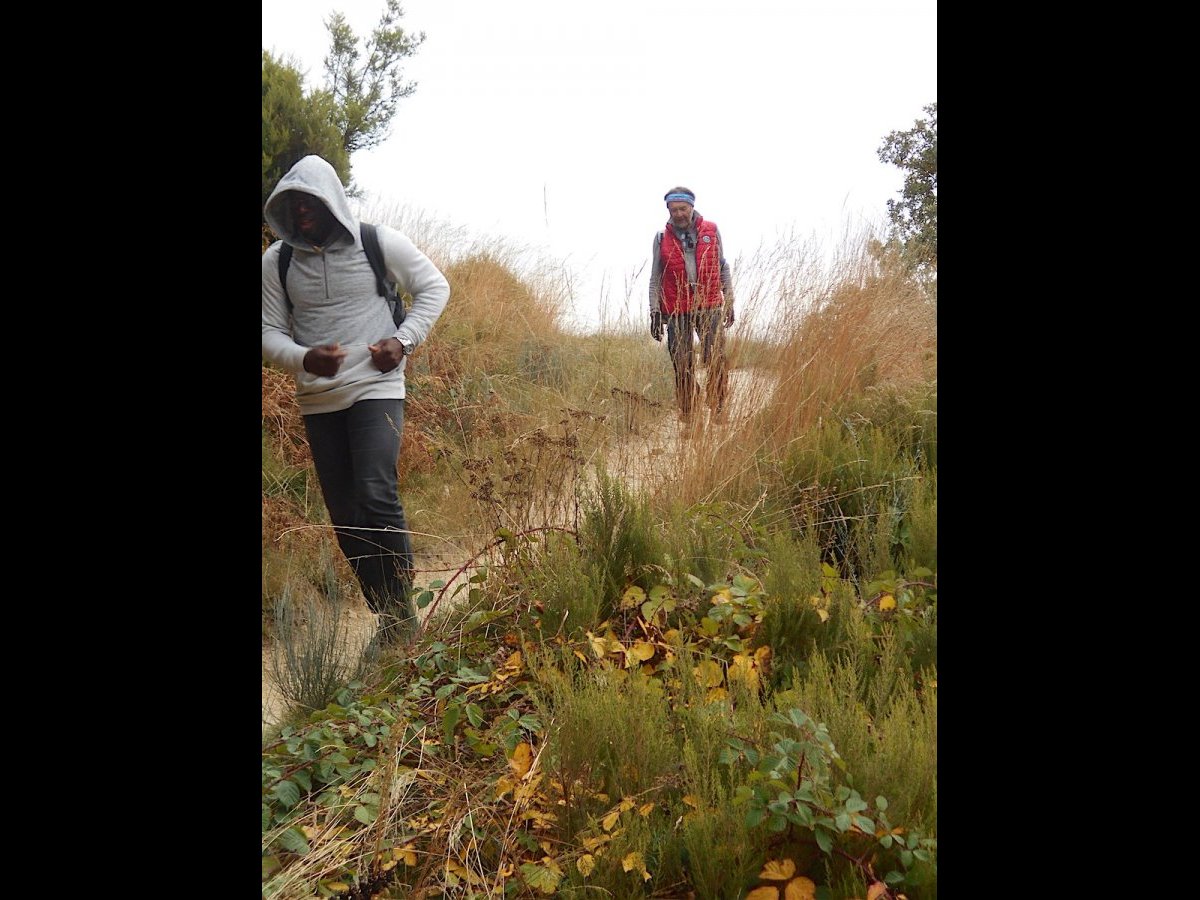 20181026_1505DSCN4735