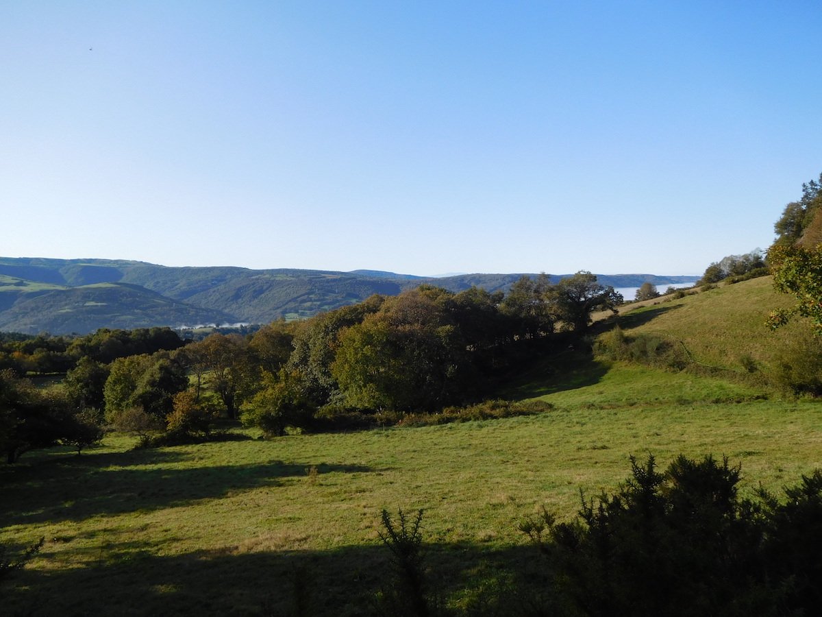 20191022_1056DSCN5632