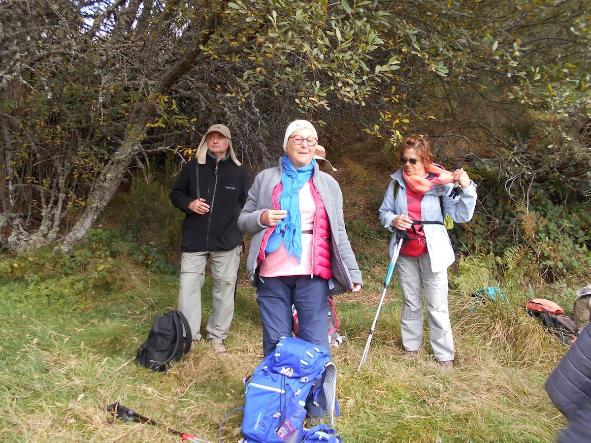 20181026_1502DSCN4734