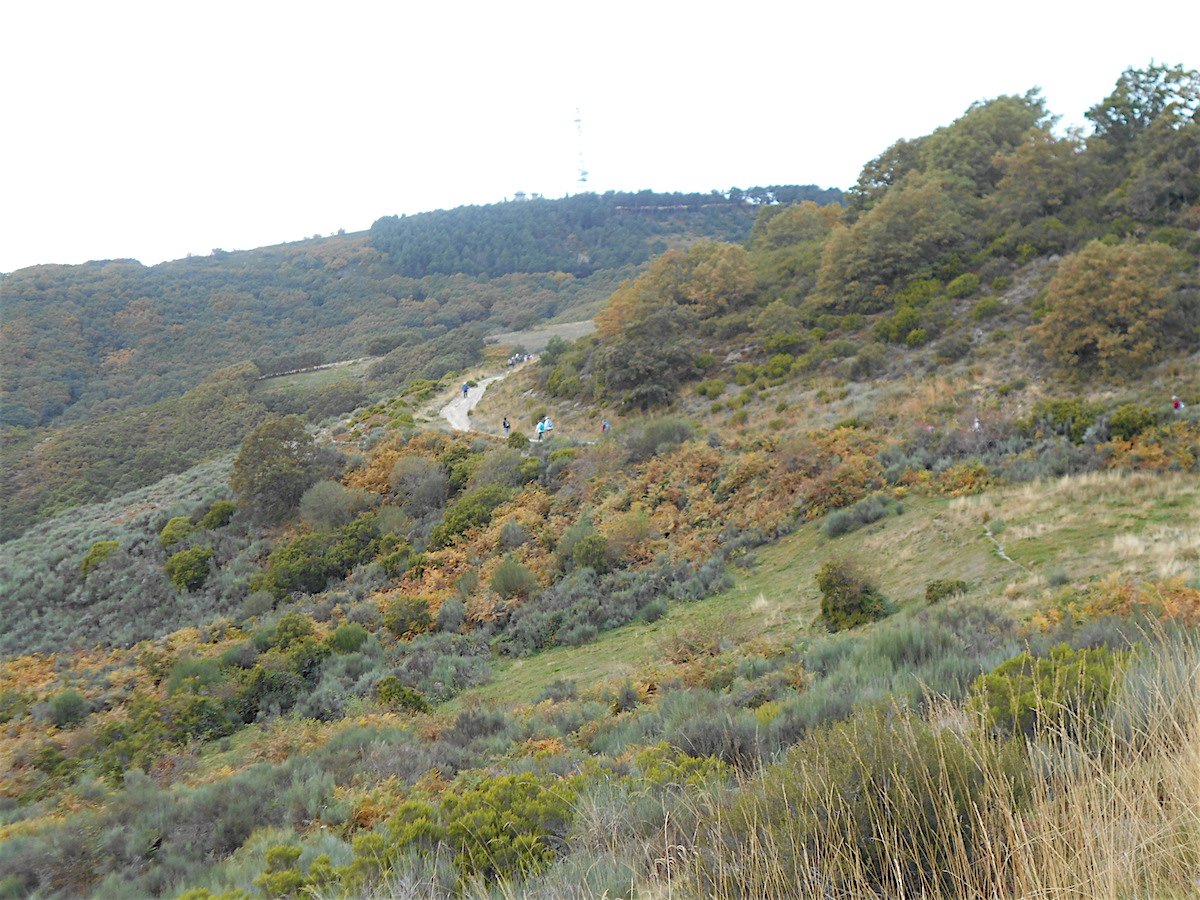 20181026_1448DSCN4730