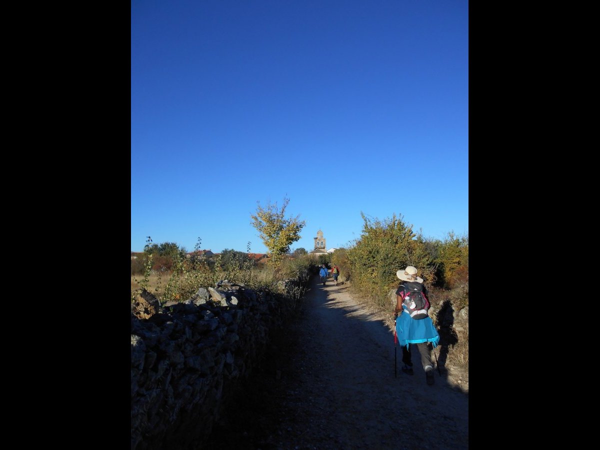 20181025_1003DSCN4671