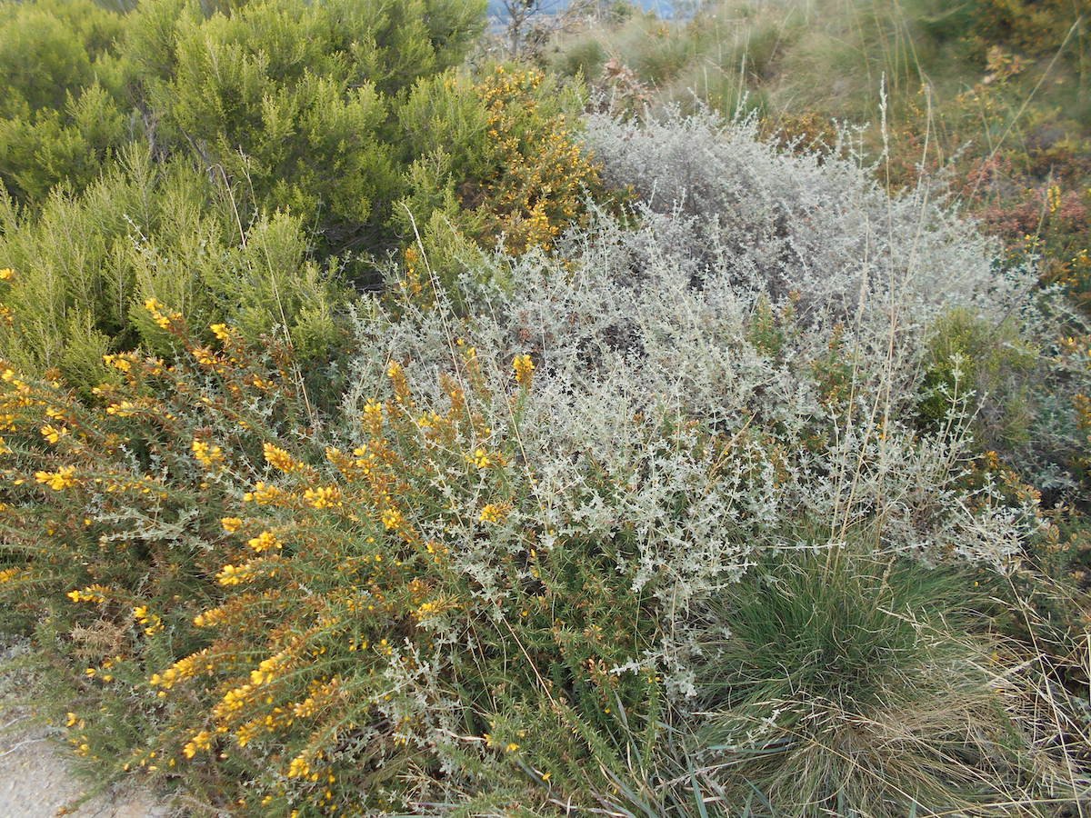 20181026_1637DSCN4741