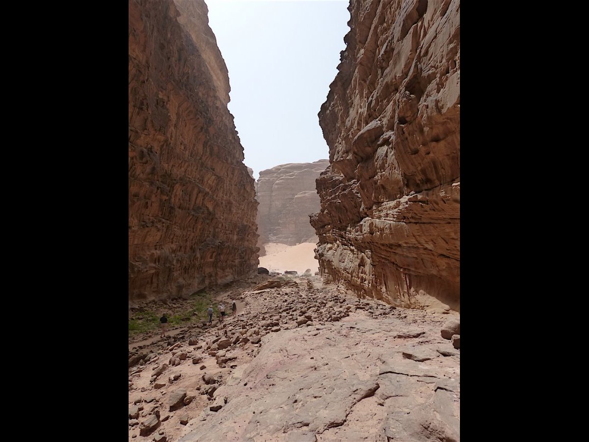20190502_1411P1030602