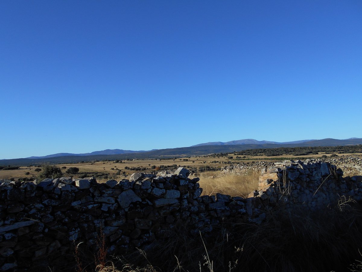 20181025_1012DSCN4675