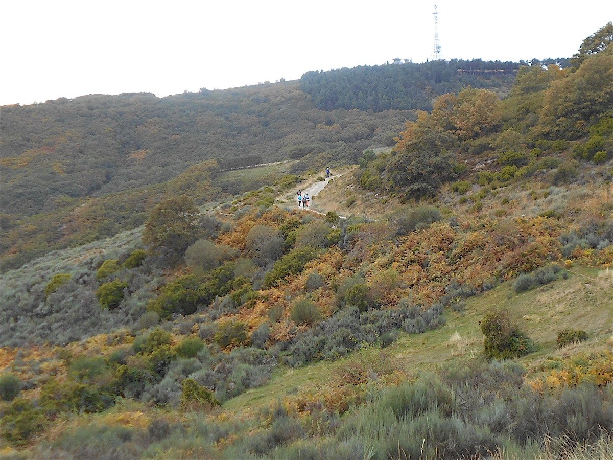 20181026_1448DSCN4732